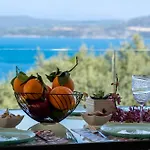 Evagelia Luxury 2 * Никиана